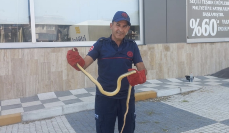 Gönen’de aracın motor bölümünden çıkan yılan paniğe neden oldu