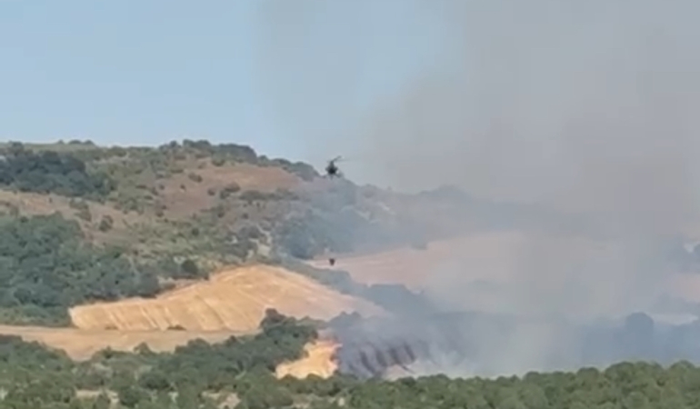 Manyas’ta orman yangını: Havadan müdahale sürüyor