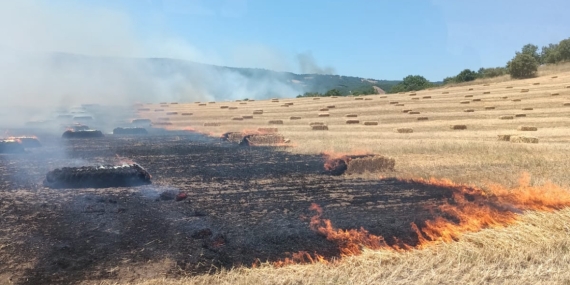 Manyas’ta anız ve makilik alanda çıkan yangın kontrol altına alındı