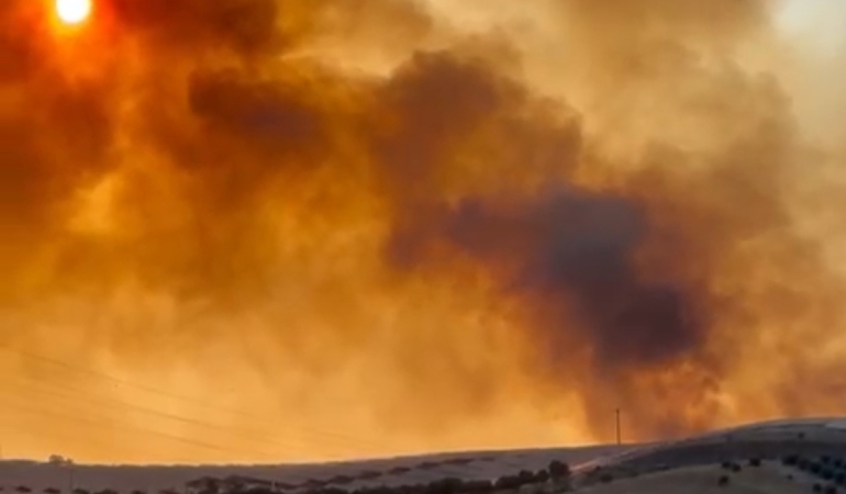 Bandırma OSB bölgesindeki arazi yangınına havadan ve karadan müdahale
