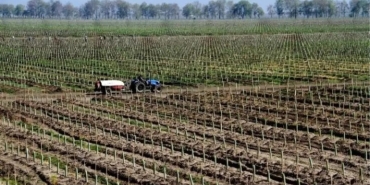 WhatsApp Görsel 2025-07-30 saat 16.02.46_02e1c5c3