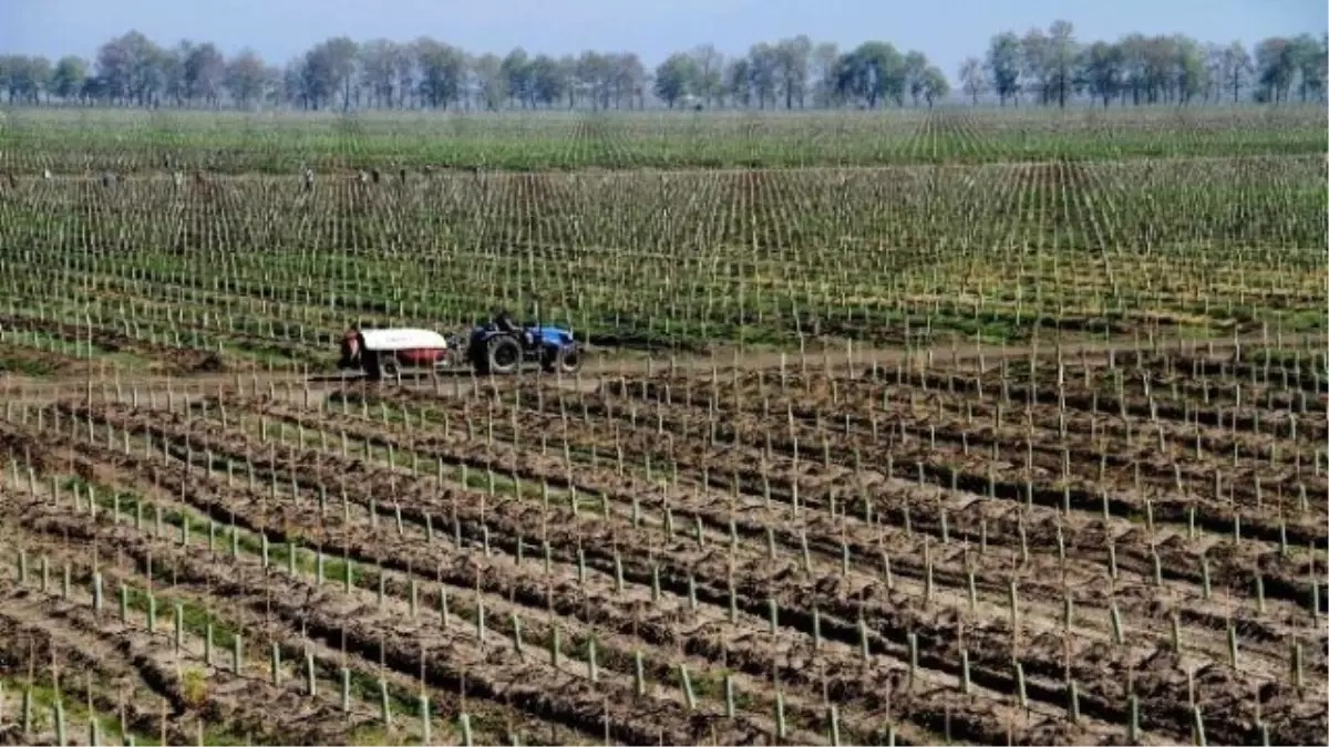 WhatsApp Görsel 2025-07-30 saat 16.02.46_02e1c5c3