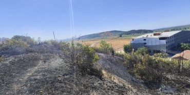 WhatsApp Image 2025-07-06 at 18.20.51