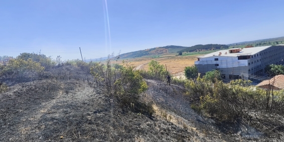 Susurluk’ta çalılık alanda çıkan yangın söndürüldü