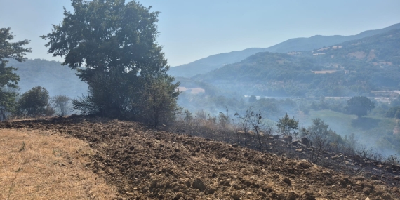 Gönen’de arazi ve anız yangını söndürüldü