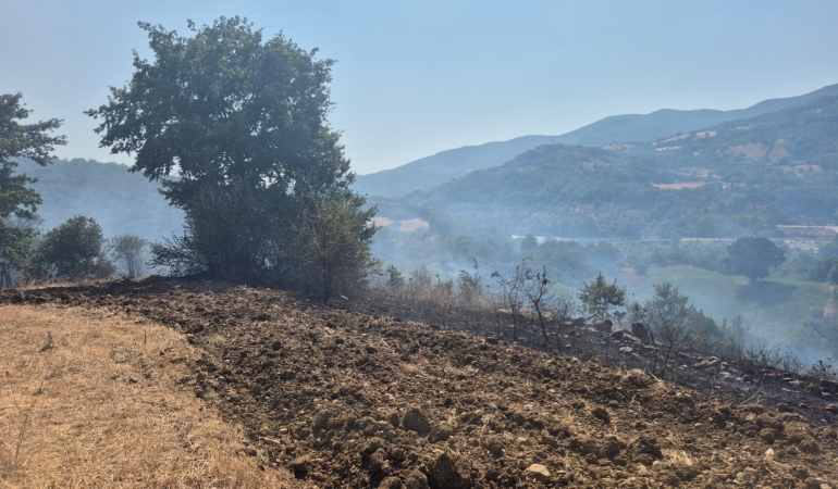 Gönen’de arazi ve anız yangını söndürüldü