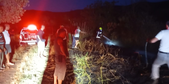 Erdek’te böğürtlenlik alanda çıkan yangın söndürüldü