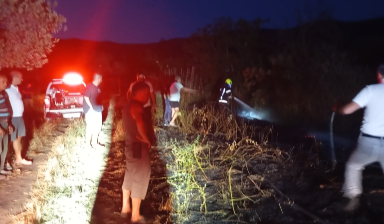 Erdek’te böğürtlenlik alanda çıkan yangın söndürüldü