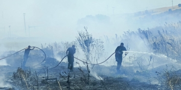 WhatsApp Image 2025-07-18 at 19.39.05 (6)