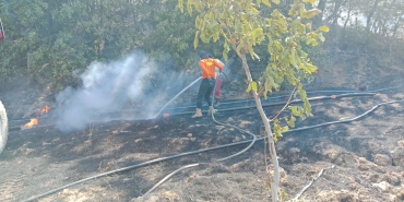 WhatsApp-Image-2025-07-23-at-01.35.50-2