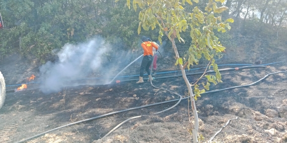 Gönen’de çıkan yangına ekipler müdahale etti
