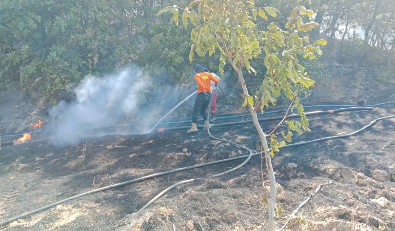 Gönen’de çıkan yangına ekipler müdahale etti