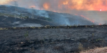 WhatsApp-Image-2025-07-24-at-09.52.24