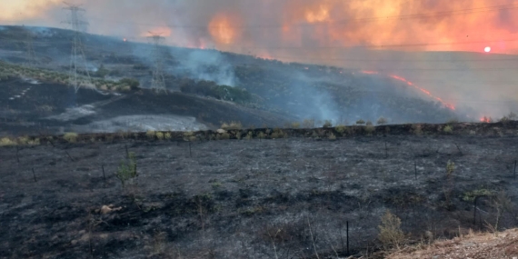 Bandırma OSB yakınlarındaki arazi yangını söndürüldü