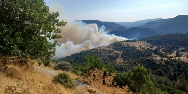 BURSA-BALIKESİR SINIRINDA ORMAN YANGINI: KÖY TAHLİYE EDİLDİ, EKİPLER SEFERBER OLDU