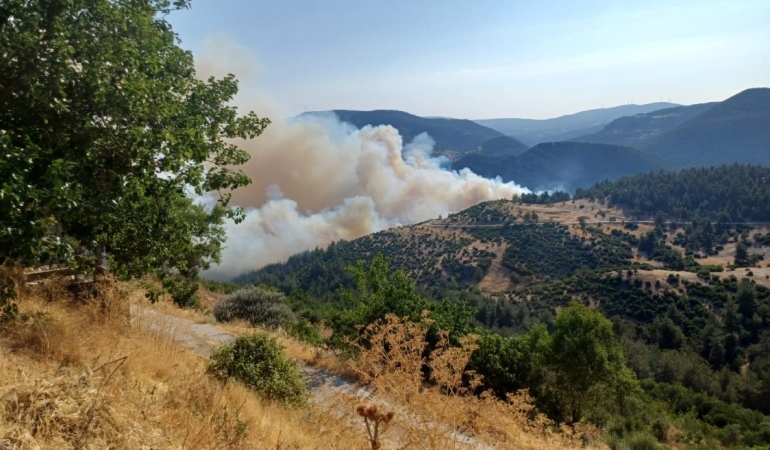 Bursa’da başlayıp Balıkesir’e sıçrayan yangına müdahale sürüyor