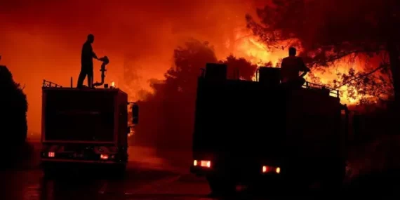 İzmir’de Orman Yangını Felaketi: 2 Can Kaybı, Geniş Alan Küle Döndü