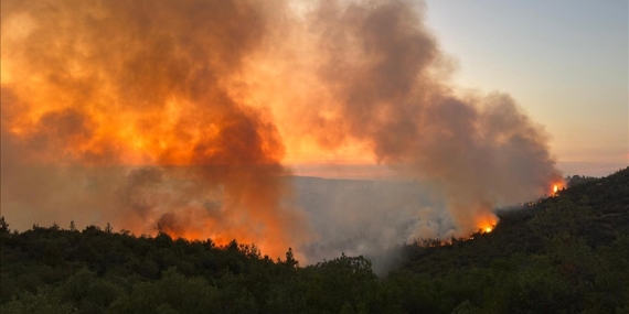 OGM’den yangın alarmı: Sıcaklıklar 12 derece artacak, ateş yakmayın!