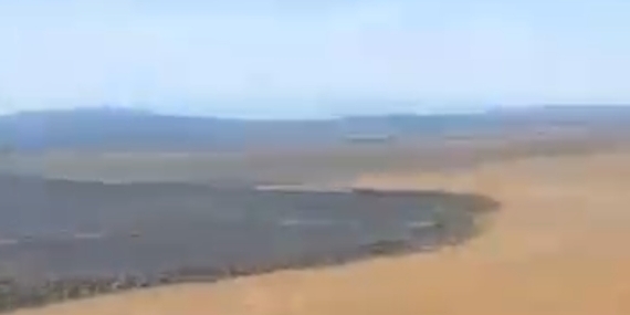 Gönen’de tarla yangını sonrası üzücü manzara