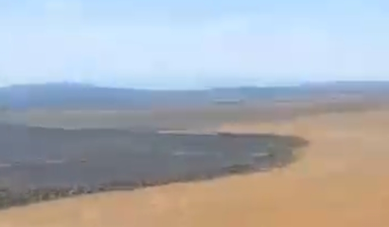 Gönen’de tarla yangını sonrası üzücü manzara