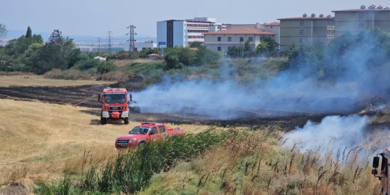 Bandırma’da yangın paniği, 3 noktada aynı anda çıkan yangın ormana sıçramadan kontrol altına alındı