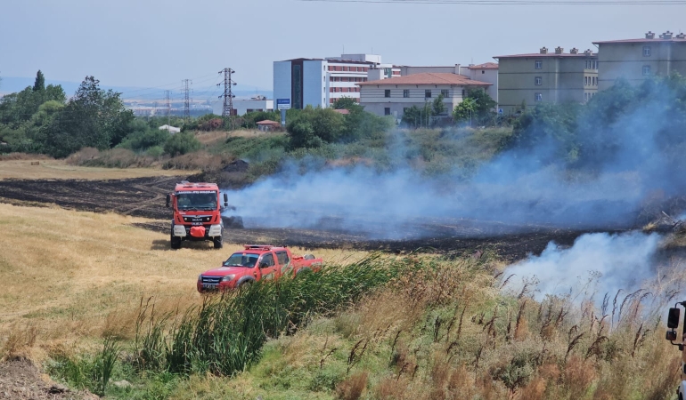 Bandırma’da yangın paniği, 3 noktada aynı anda çıkan yangın ormana sıçramadan kontrol altına alındı