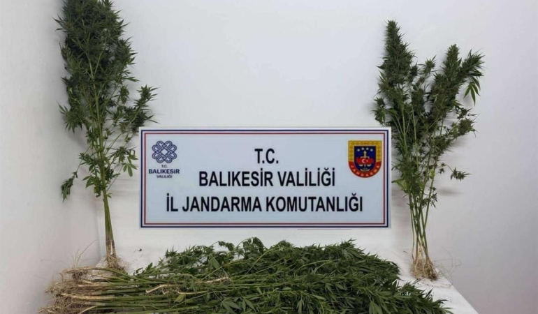 Balıkesir’de uyuşturucu operasyonu: 29 gözaltı