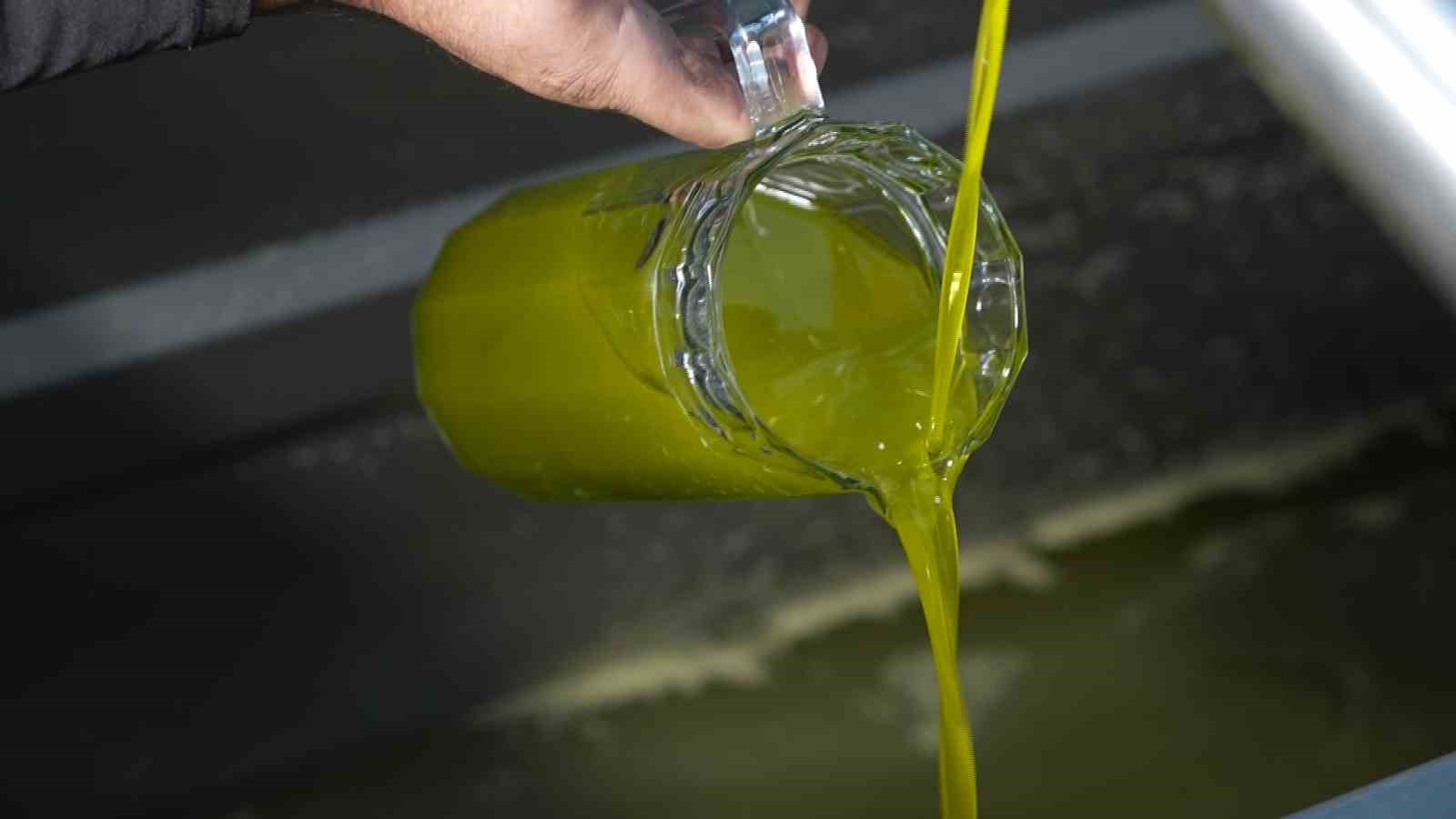 TÜRKİYE'DE SATILAN ZEYTİNYAĞININ YÜZDE 65'İ ‘AYVALIK ZEYTİNYAĞI' ADIYLA PİYASADA AYVALIK'TA 18 BİN TON ÜRETİLİYOR, AMA PİYASALARDA 100 BİN TON AYVALIK ZEYTİNYAĞI BULUNUYOR ZEYTİNYAĞINDA TAKLİT VE TAĞŞİŞ ÜRETİCİYE ZARAR VERİYOR