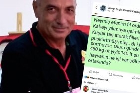 sornn