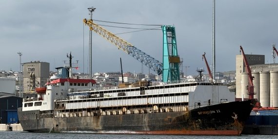 Bandırma Limanı’nda “Spiridon-II” krizi: İthal hayvanlar günlerdir mahsur