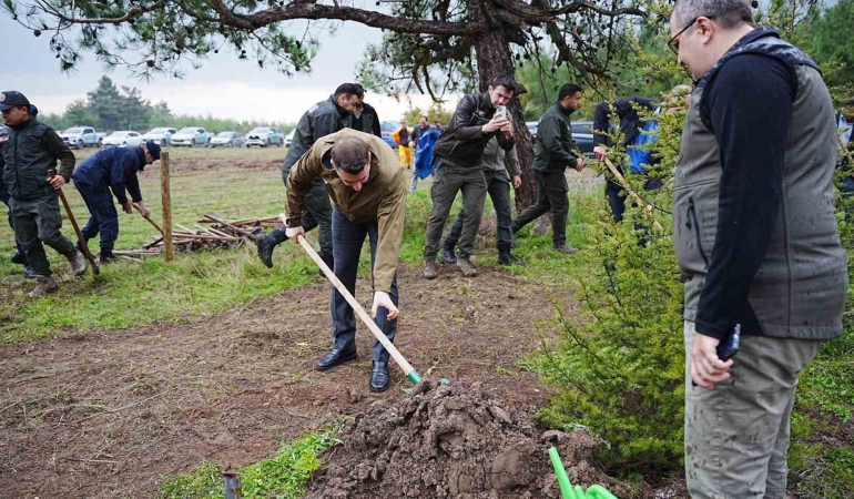 SINDIRGI’DA MİLLİ AĞAÇLANDIRMA GÜNÜ’NDE FİDANLAR TOPRAKLA BULUŞTU